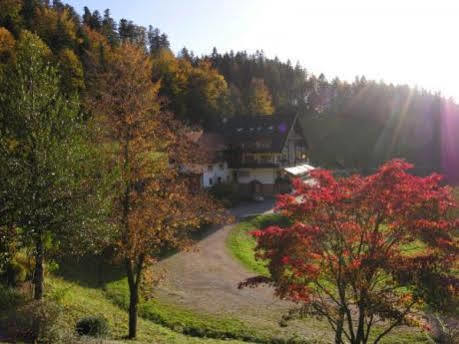 Md Waldhotel Palmspring Бад-Петерсталь-Грисбах Экстерьер фото